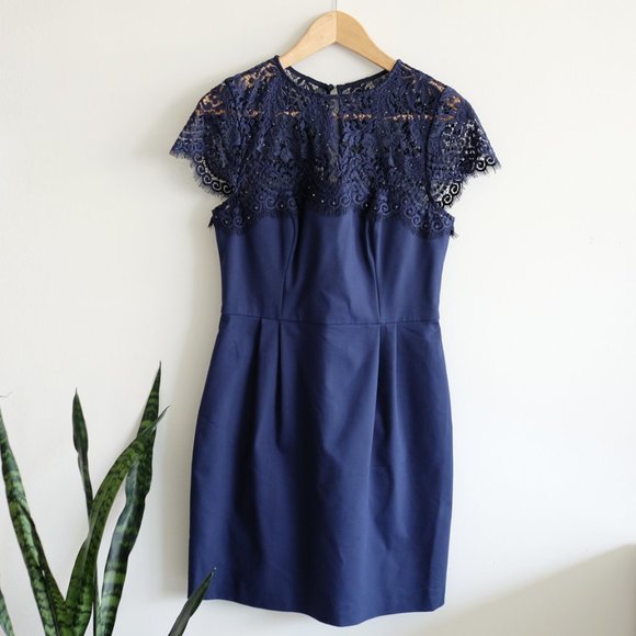 Ever New eyelash lace and crystal cocktail dress - Picture 12 of 13